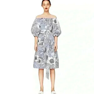 Bleuh Ciel Anthropologie puff sleeve midi dress